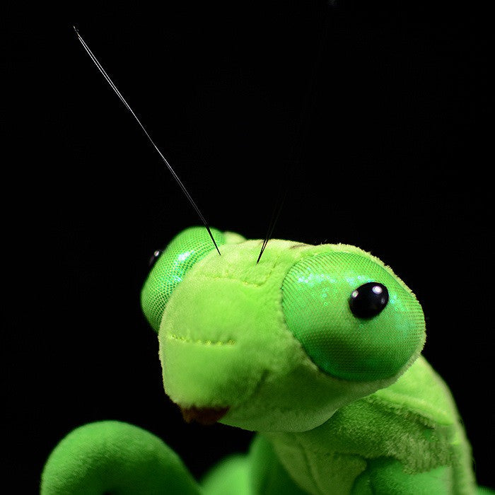 Lifelike Mantis Plush Toys Mantis Stuffed Animals Toy For Kids