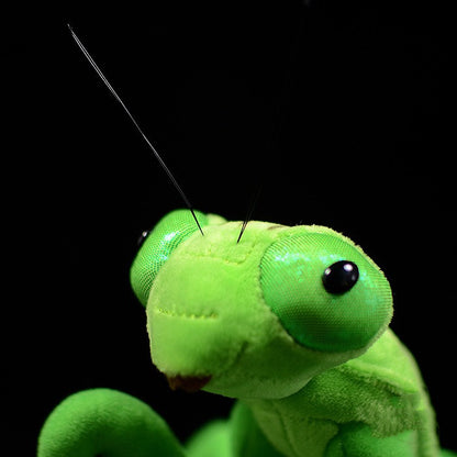 Lifelike Mantis Plush Toys Mantis Stuffed Animals Toy For Kids