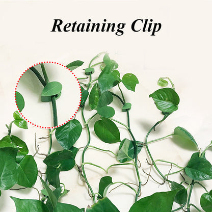 Self-Adhesive Plant Fixture Clip Green Dill Fixator Garden Decor Plant Climbing Wall Buckle Plant Fixture Clip Climbing