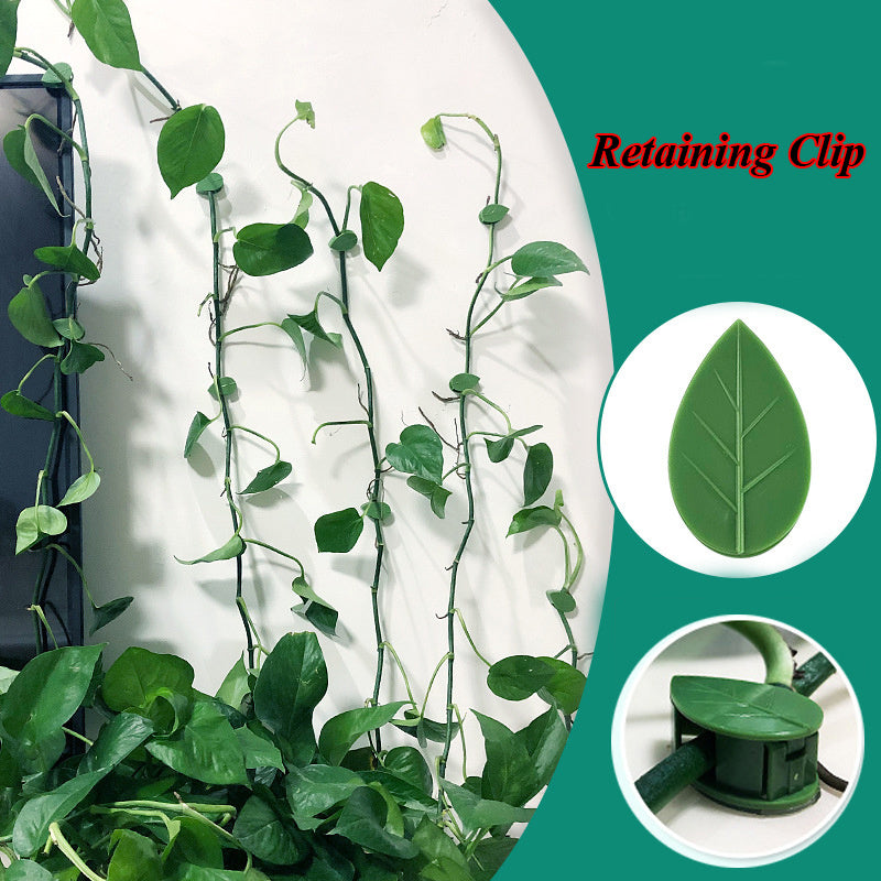 Self-Adhesive Plant Fixture Clip Green Dill Fixator Garden Decor Plant Climbing Wall Buckle Plant Fixture Clip Climbing